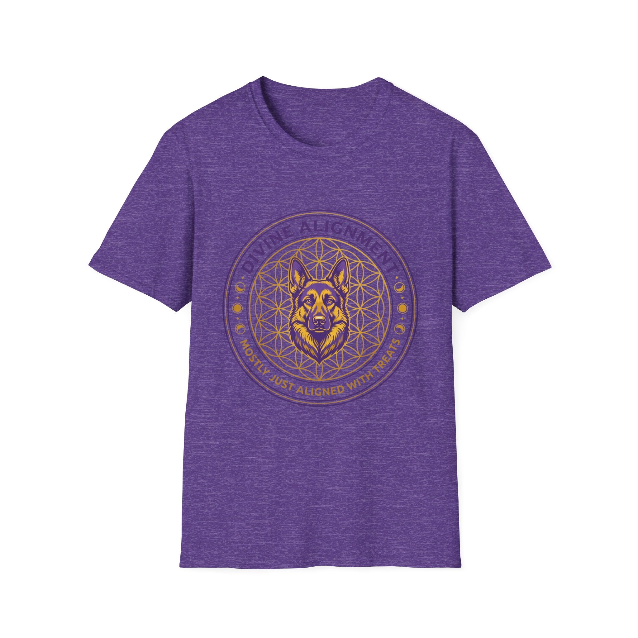 Divine Alignment Mostly Just Aligned With Treats T-Shirt