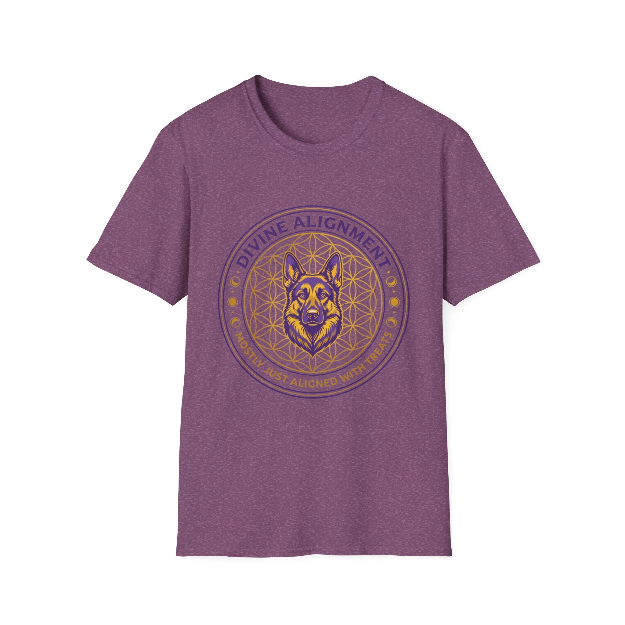 Divine Alignment Mostly Just Aligned With Treats T-Shirt