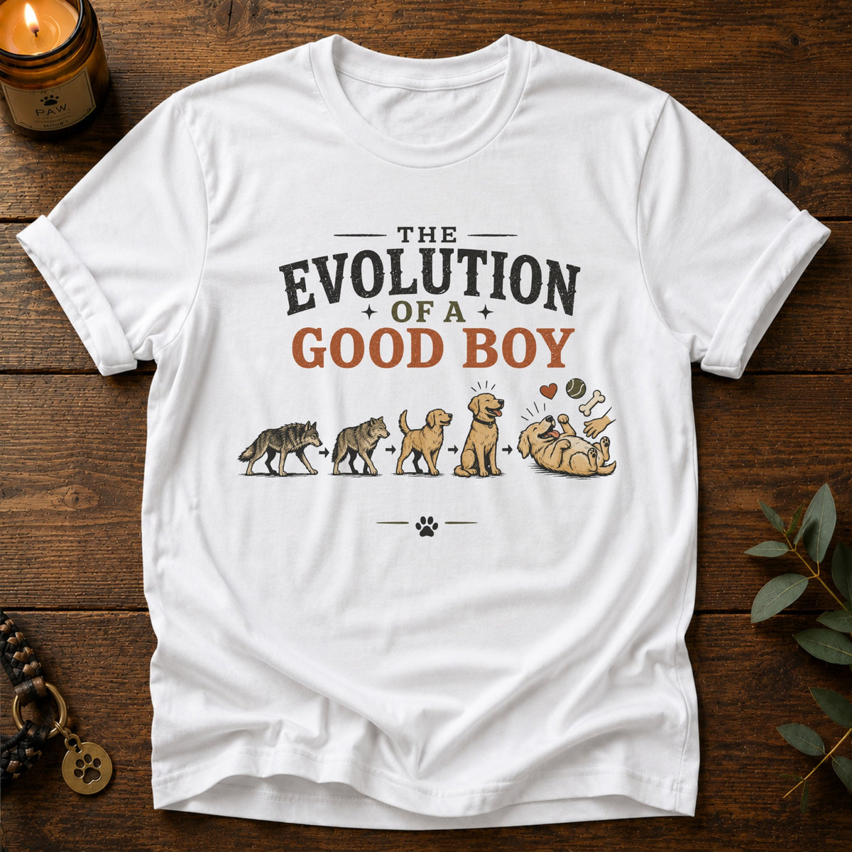 Evolution Of Good Boy T-Shirt
