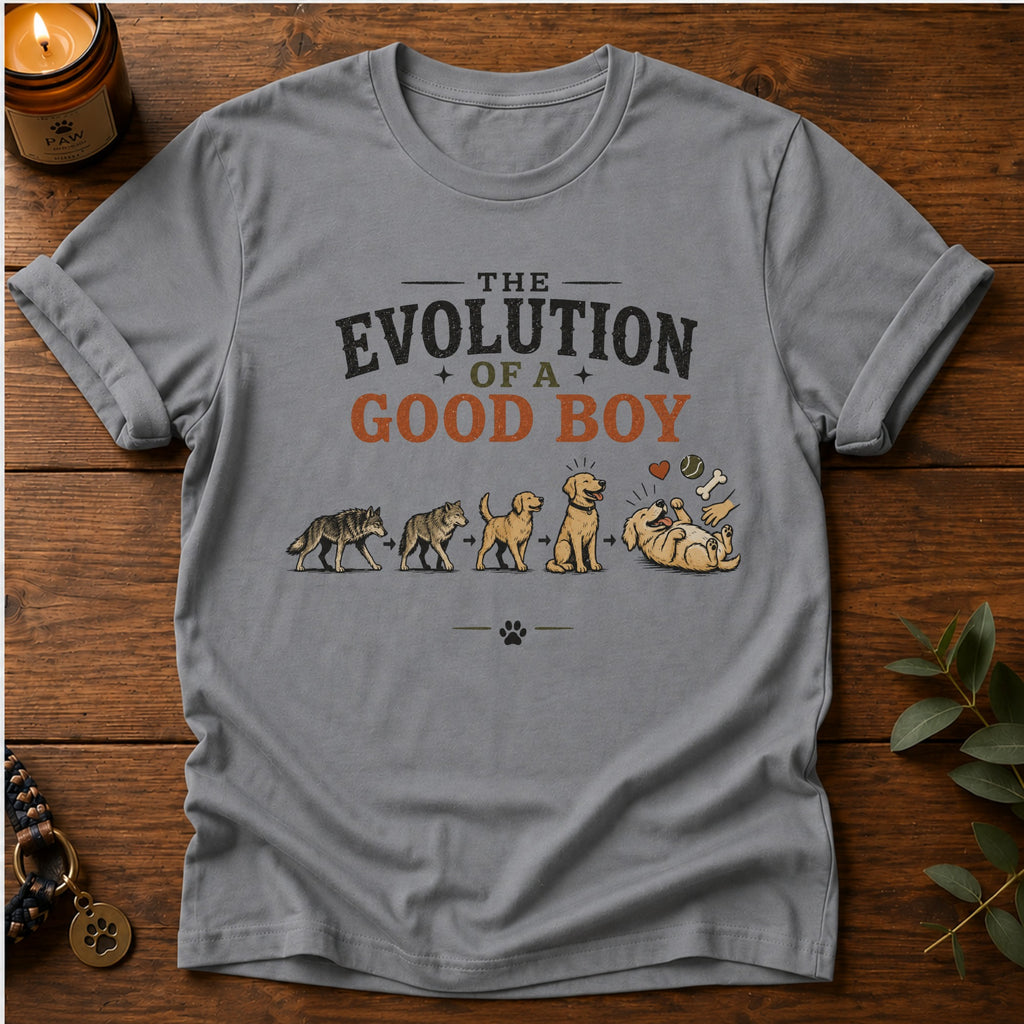 Evolution Of Good Boy T-Shirt