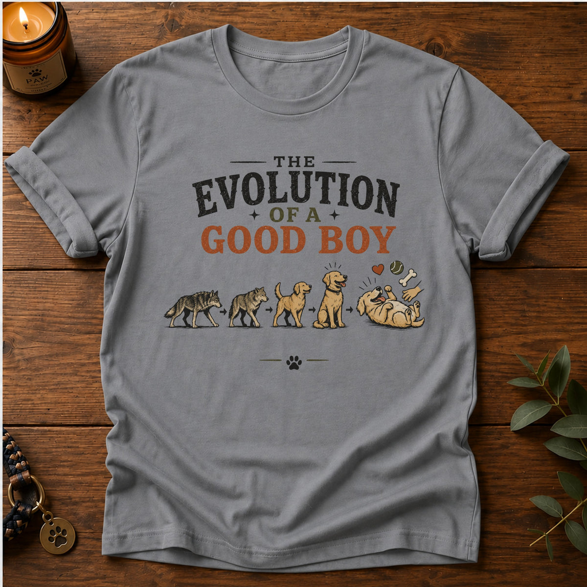 Evolution Of Good Boy T-Shirt