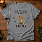 Meaning Of Life T-Shirt