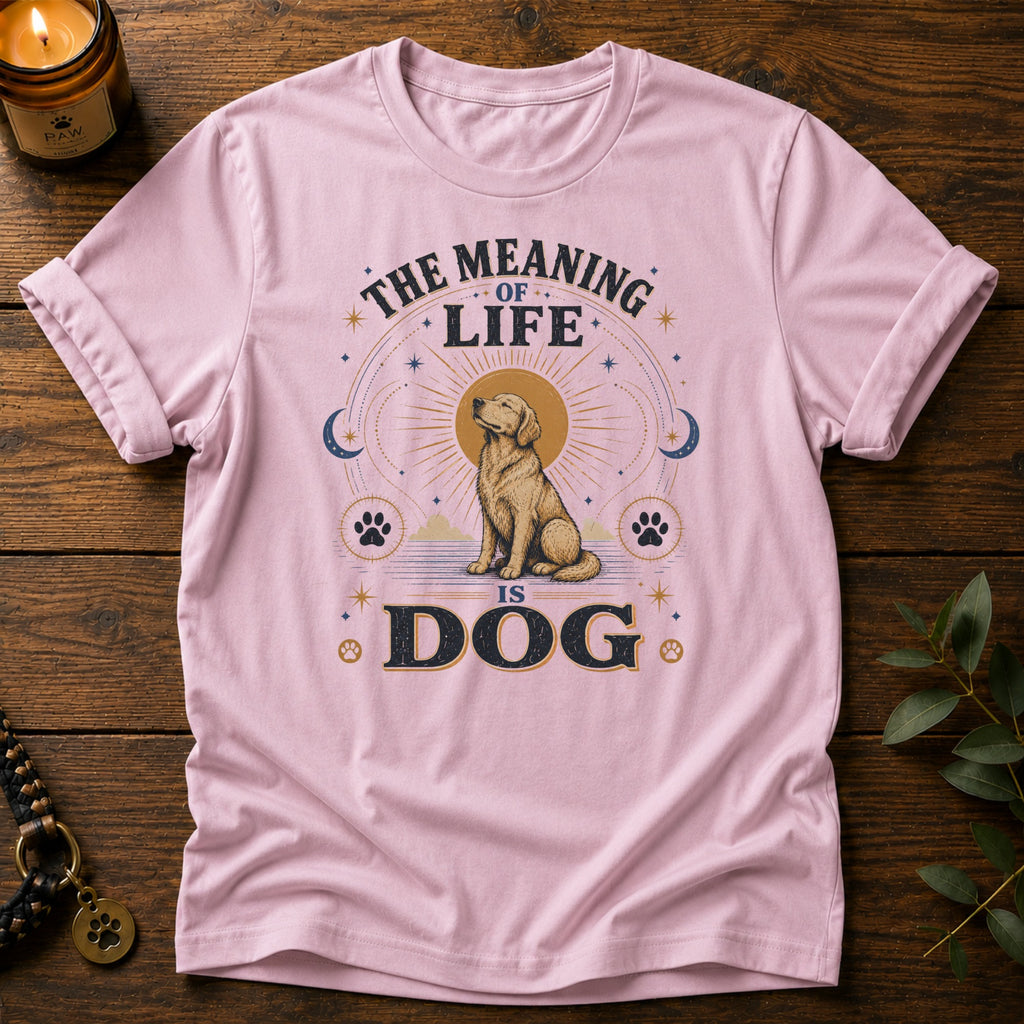 Meaning Of Life T-Shirt