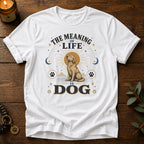 Meaning Of Life T-Shirt