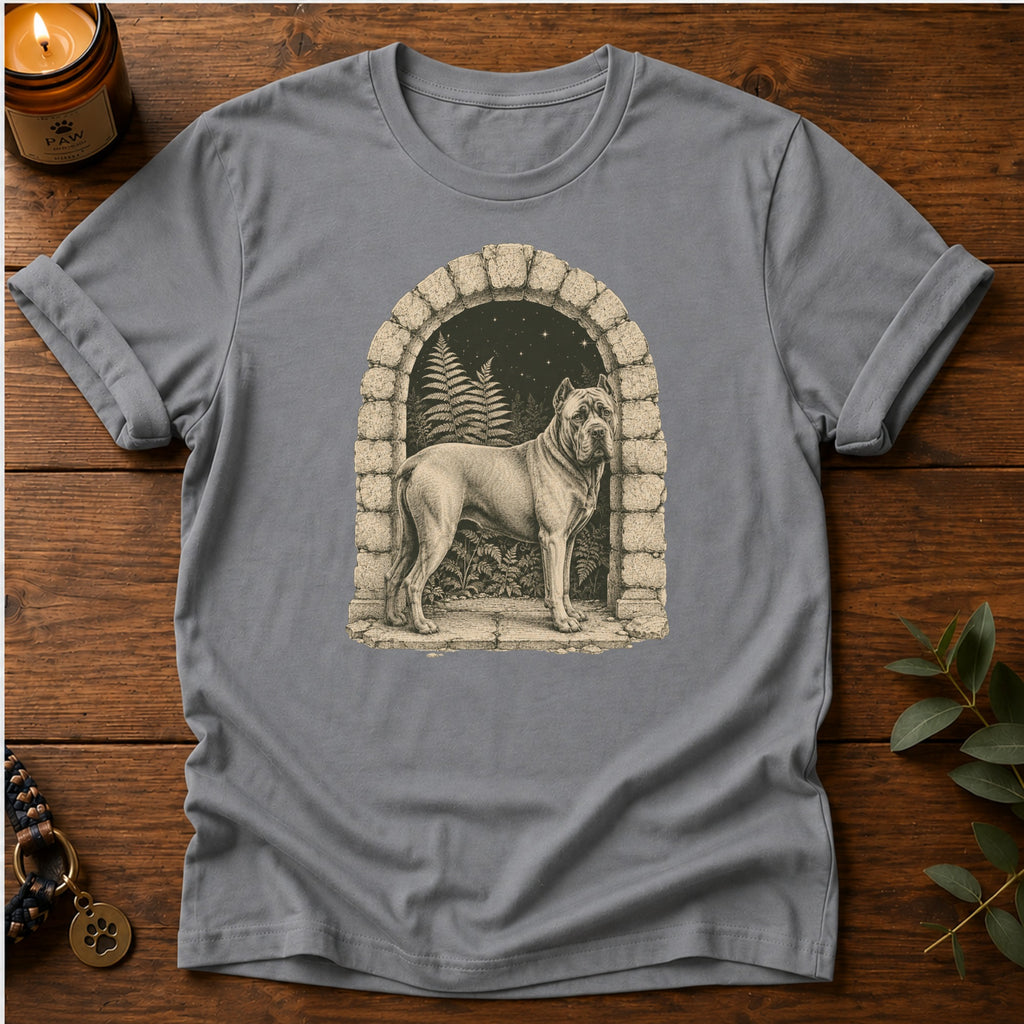 Starlit Portal T-Shirt