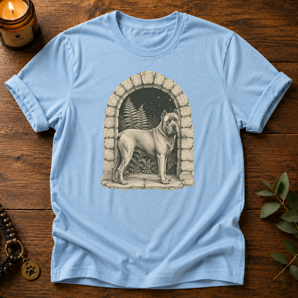 Starlit Portal T-Shirt