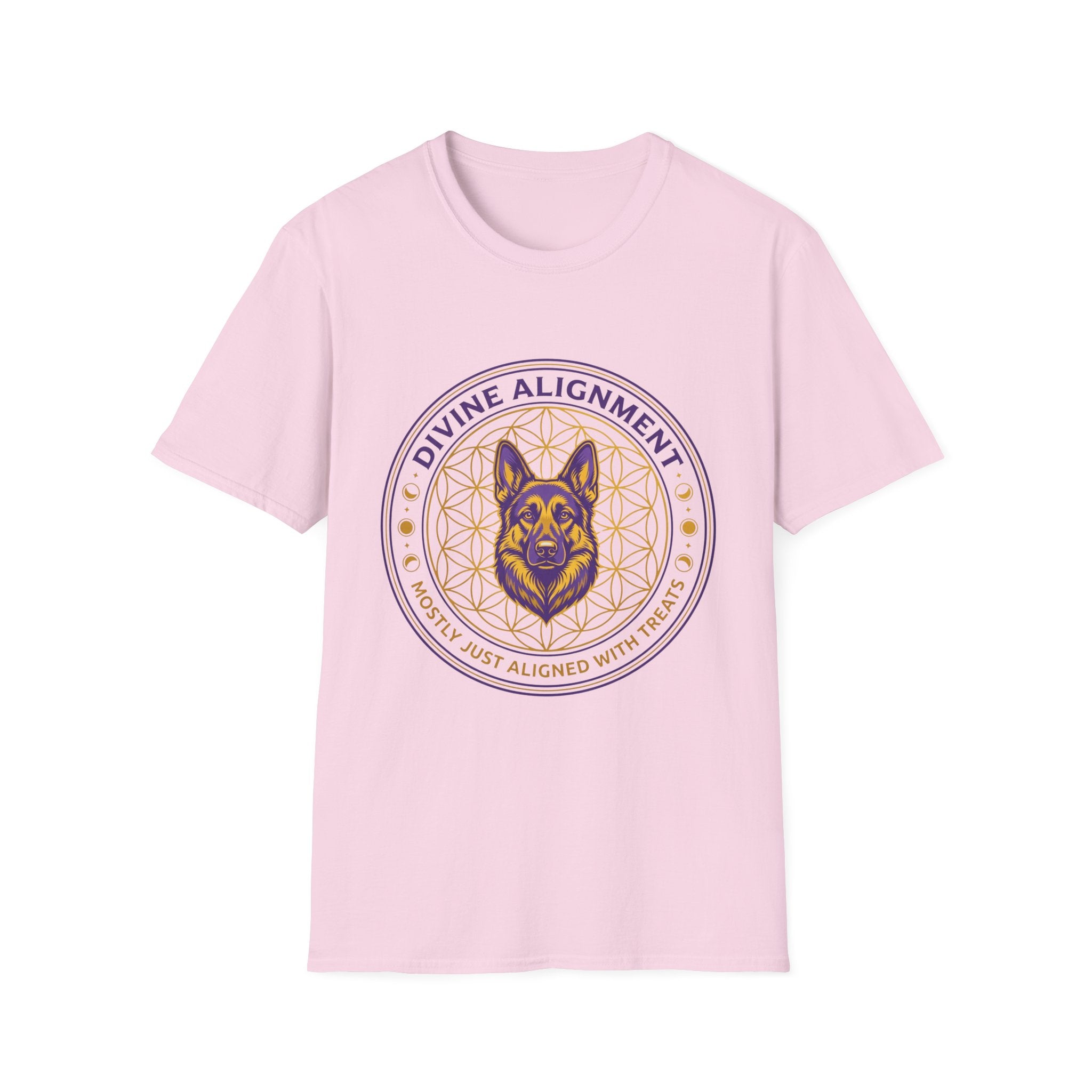 Divine Alignment Mostly Just Aligned With Treats T-Shirt