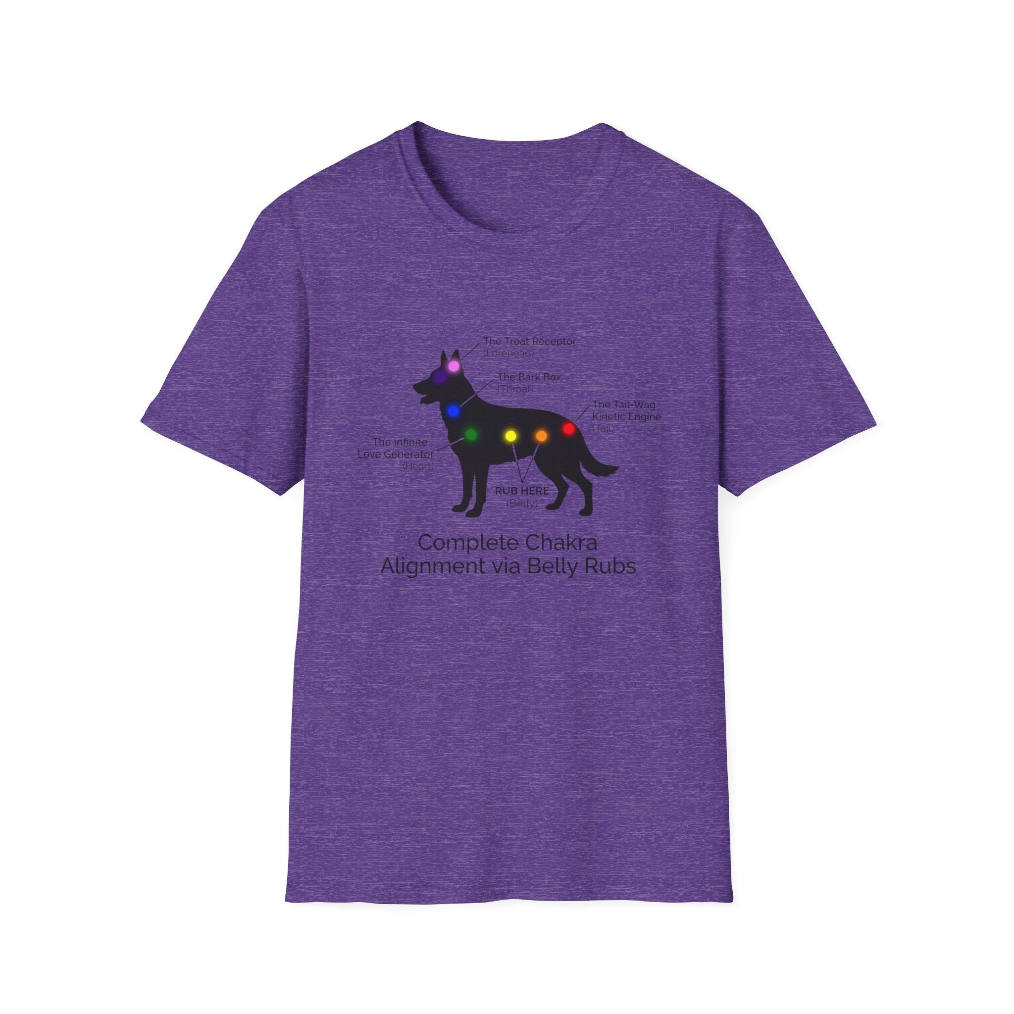 Complete Chakra Alignment Via Belly Rubs T-Shirt