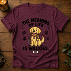The Meaning Of Life T-Shirt