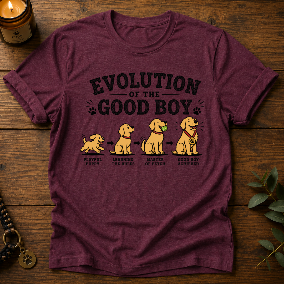 Evolution Of The Good Boy T-Shirt