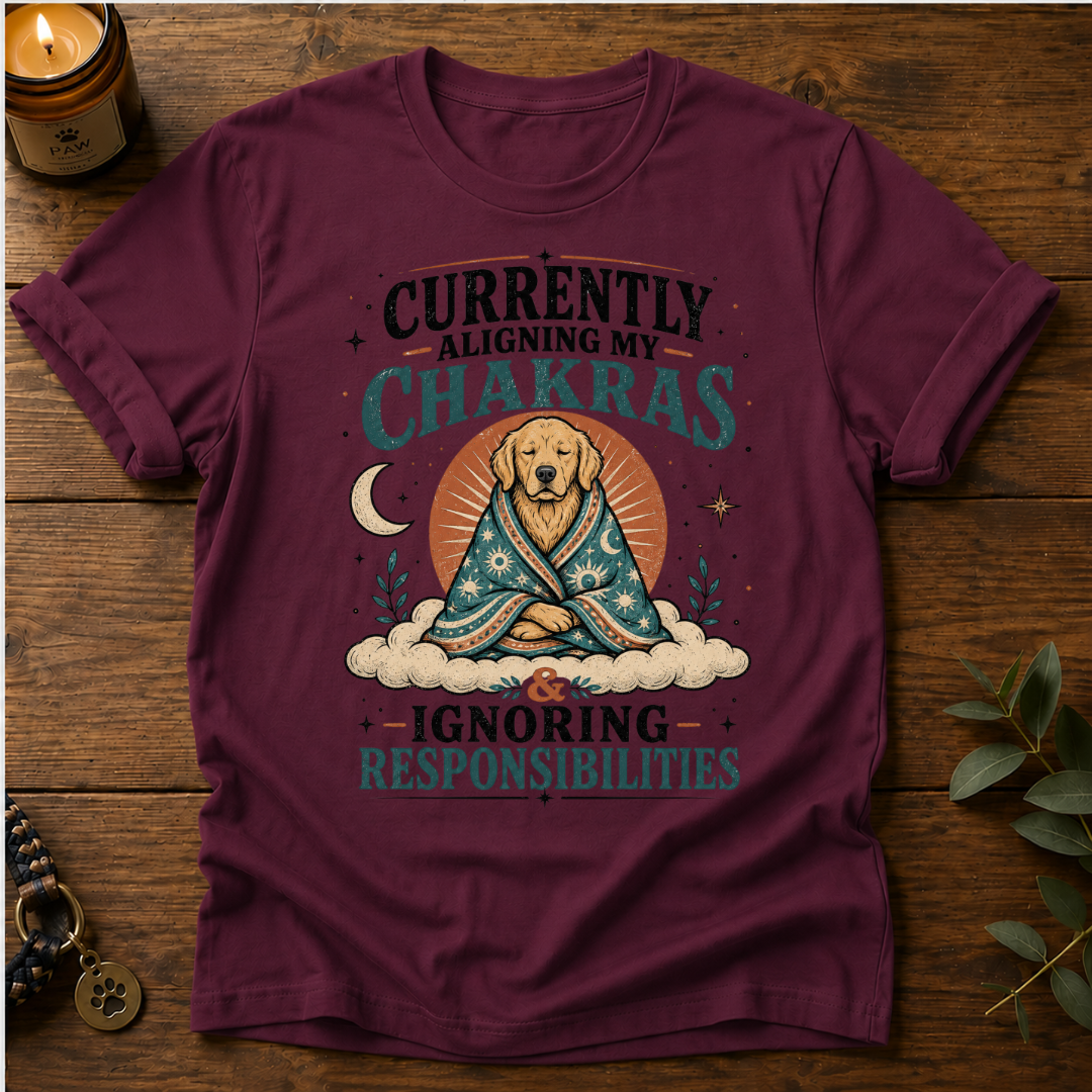 Aligning My Chakras T-Shirt