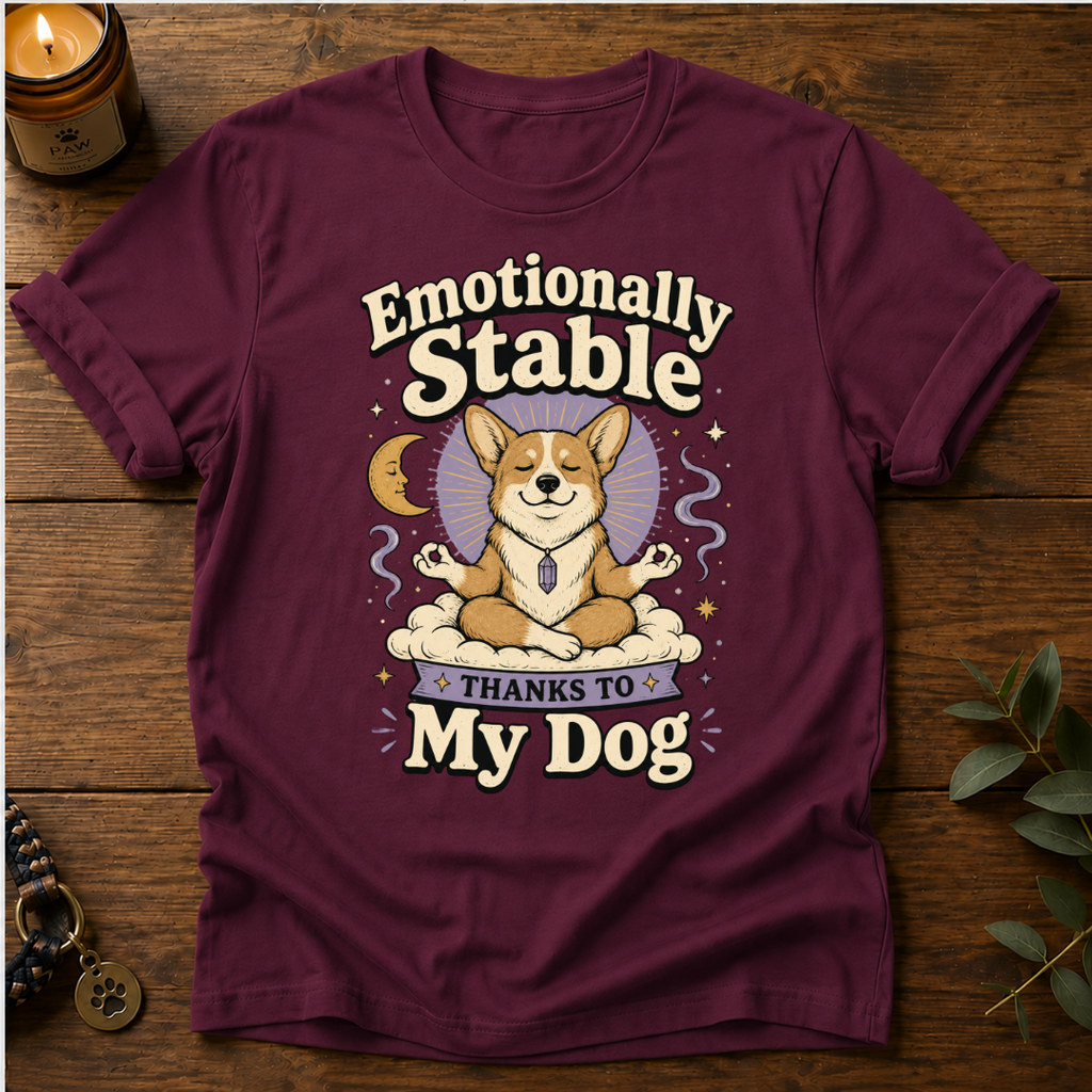 Emotionally Stable T-Shirt