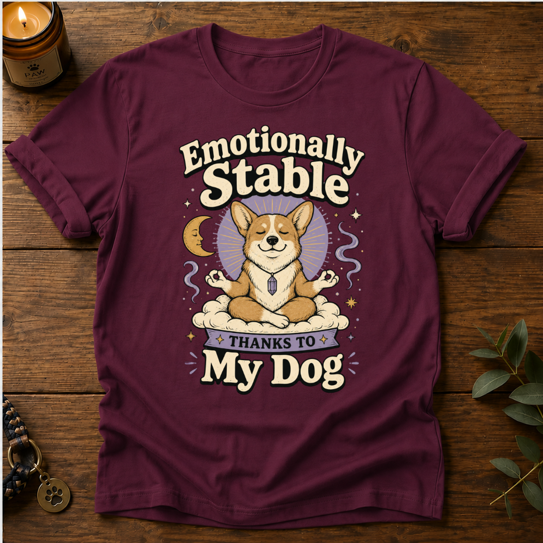Emotionally Stable T-Shirt