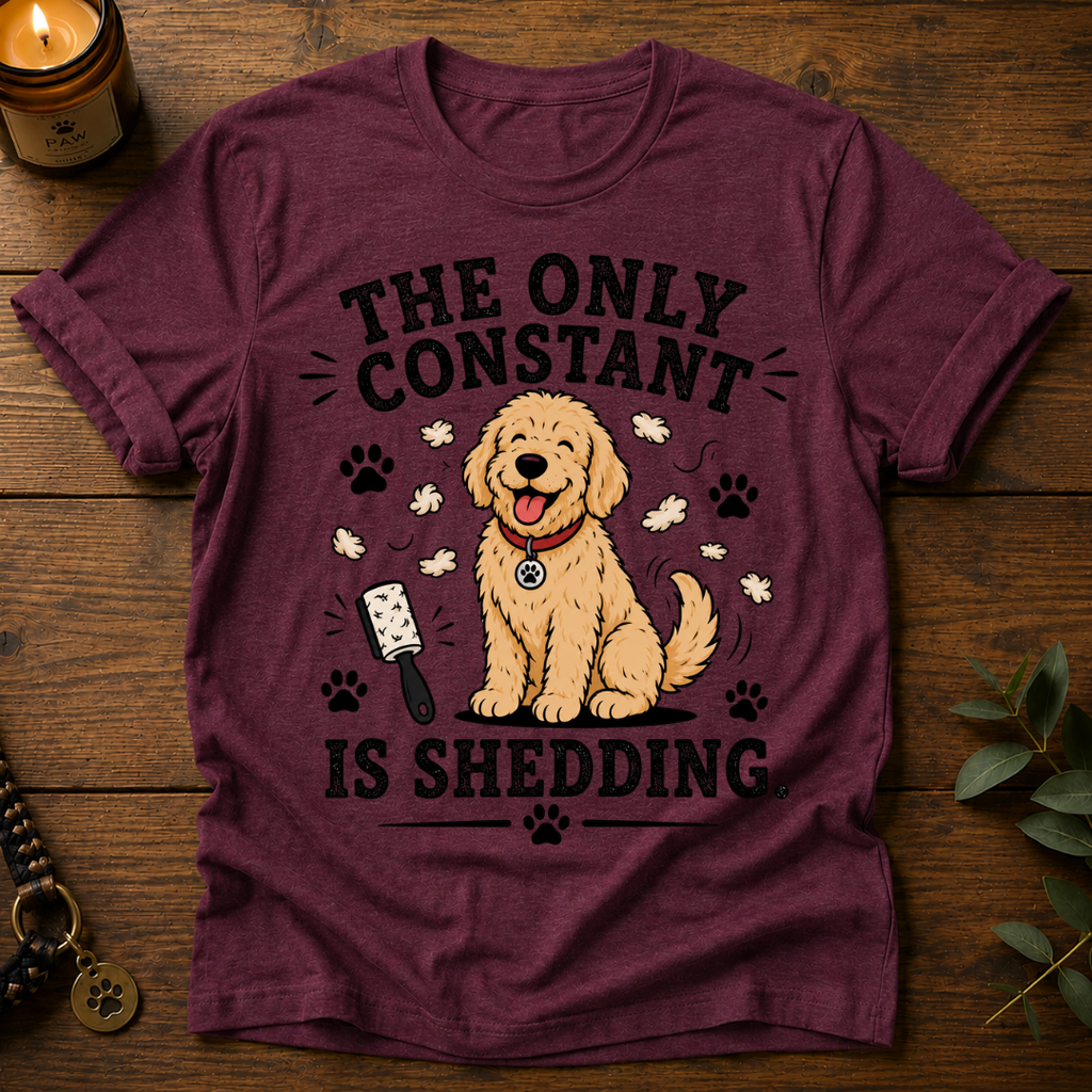 The Only Constant T-Shirt