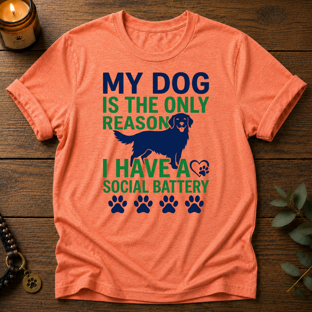 Social Battery T-Shirt