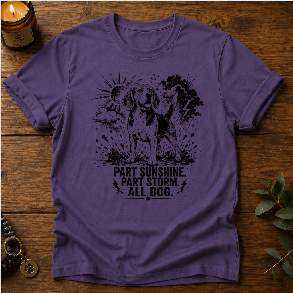 Part Sunshine Part Storm T-Shirt