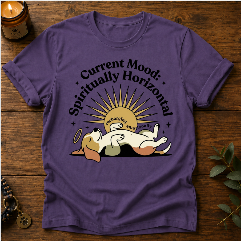 Mood Spiritually Horizontal T-Shirt