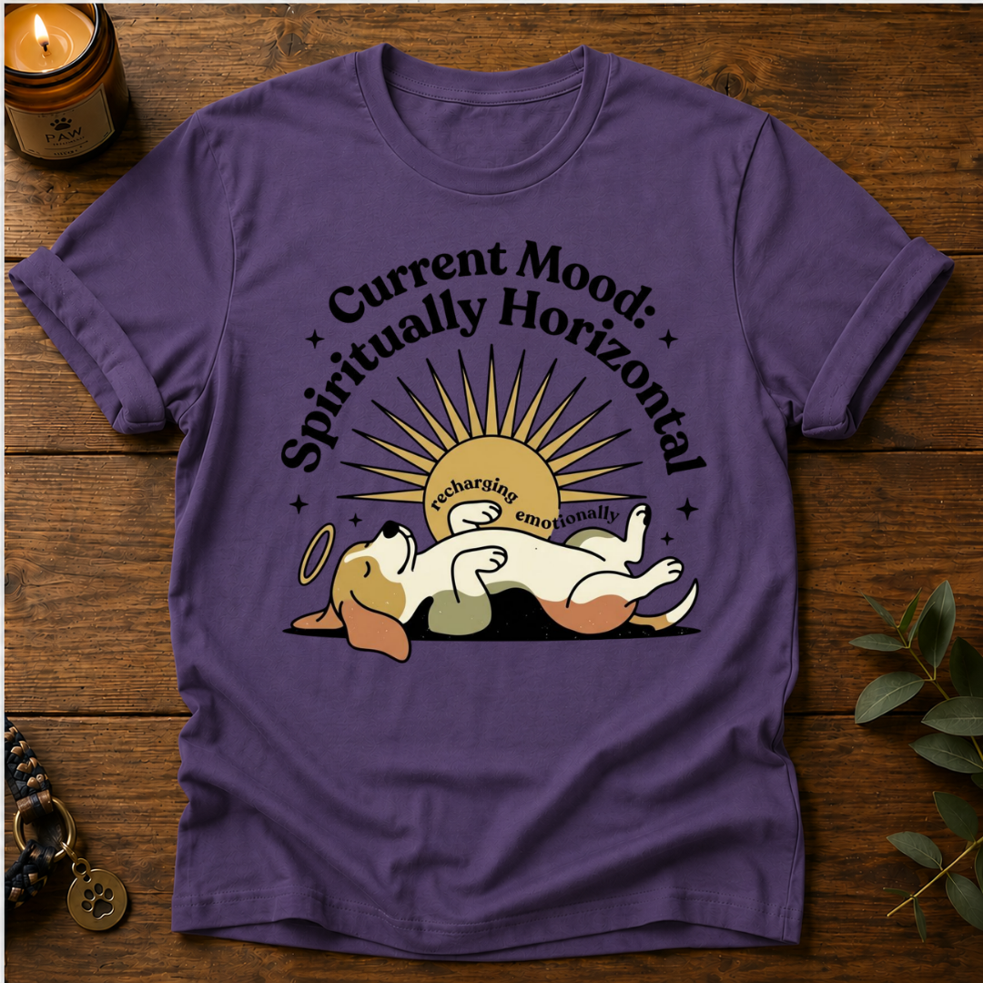 Mood Spiritually Horizontal T-Shirt
