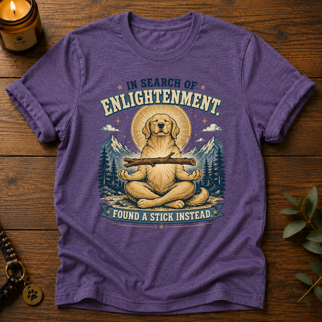In Search Of Enlightenment T-Shirt