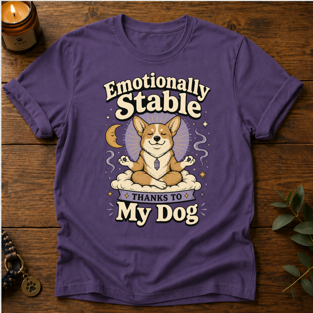 Emotionally Stable T-Shirt