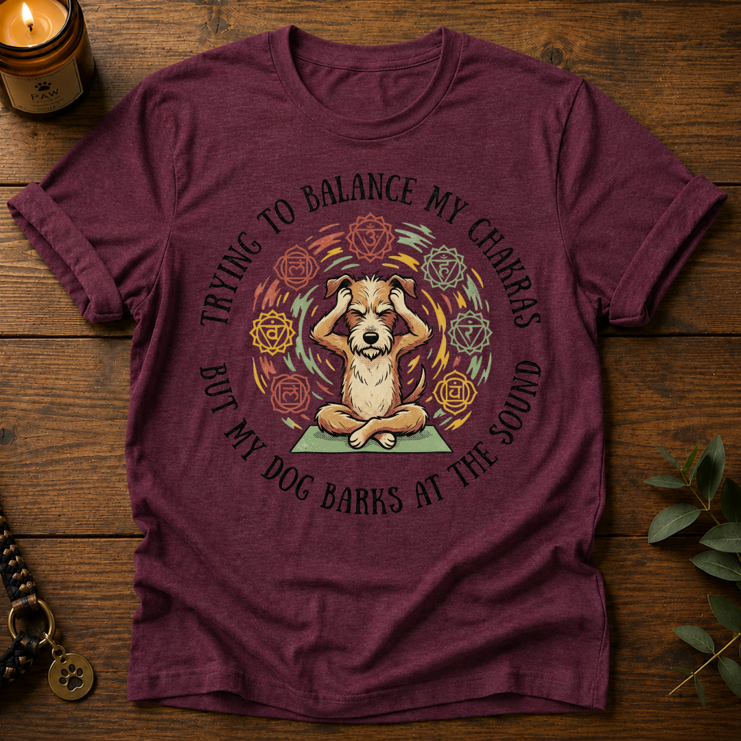 Trying To Balance T-Shirt