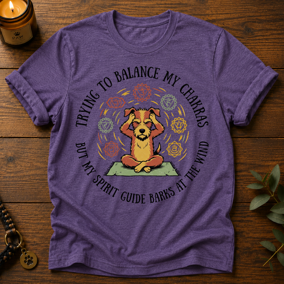 Balance My Chakras T-Shirt