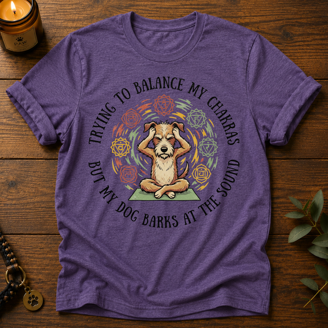 Trying To Balance T-Shirt