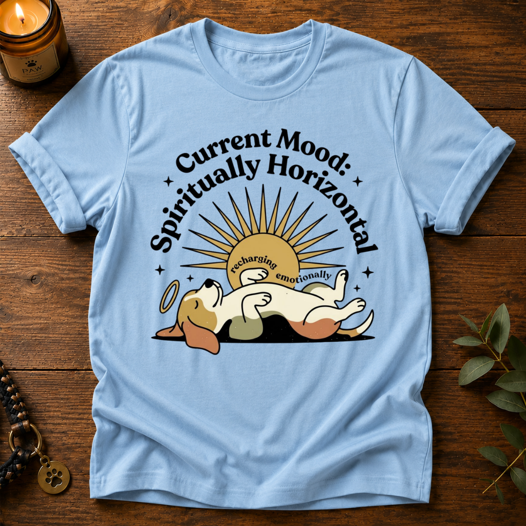 Mood Spiritually Horizontal T-Shirt