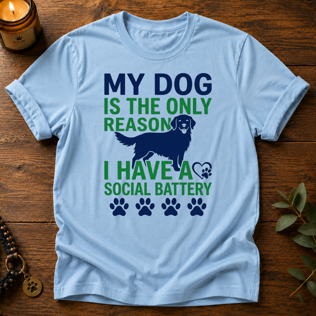 Social Battery T-Shirt