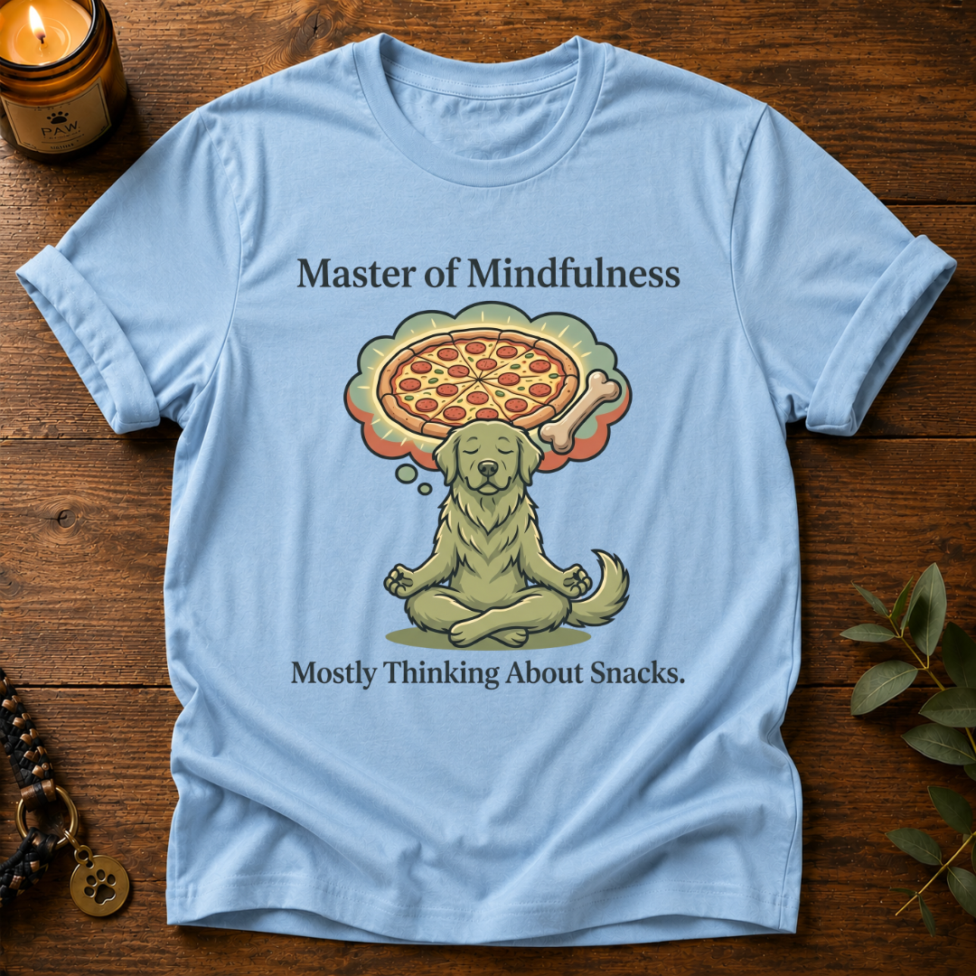 Master Of Mindfulness T-Shirt