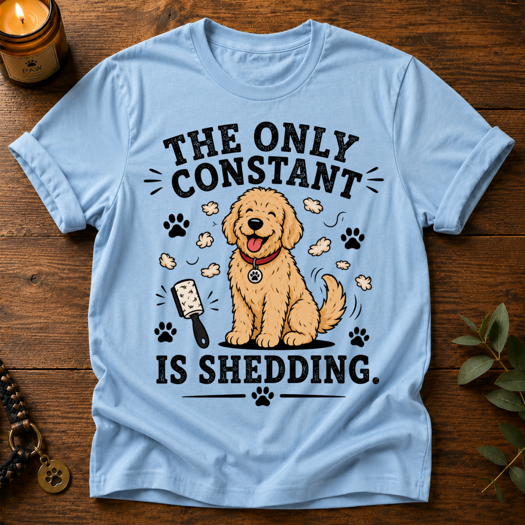 The Only Constant T-Shirt