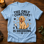 The Only Constant T-Shirt