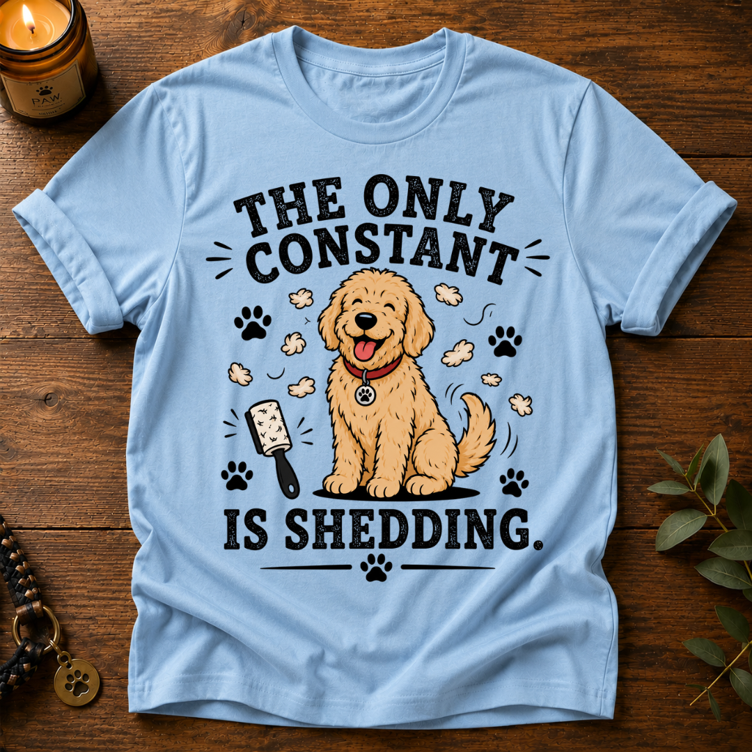 The Only Constant T-Shirt