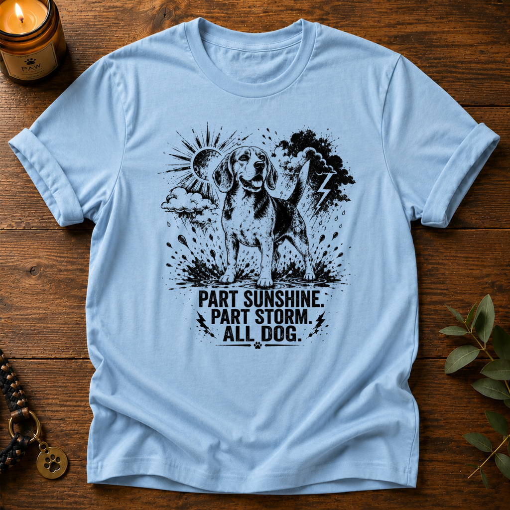 Part Sunshine Part Storm T-Shirt