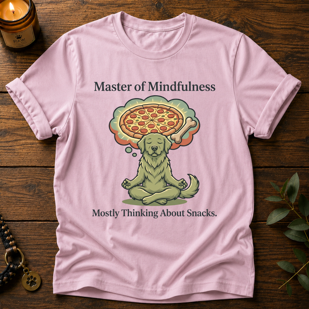 Master Of Mindfulness T-Shirt