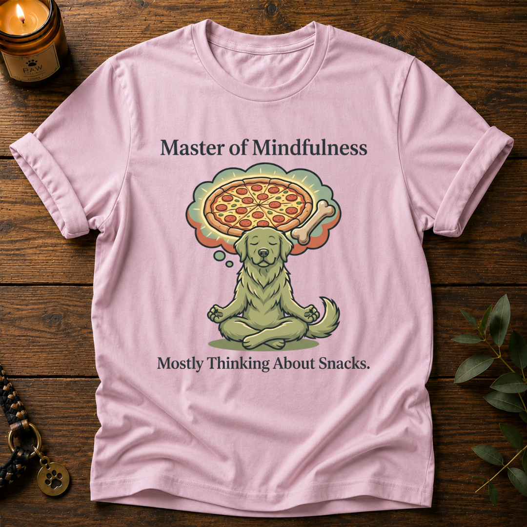 Master Of Mindfulness T-Shirt