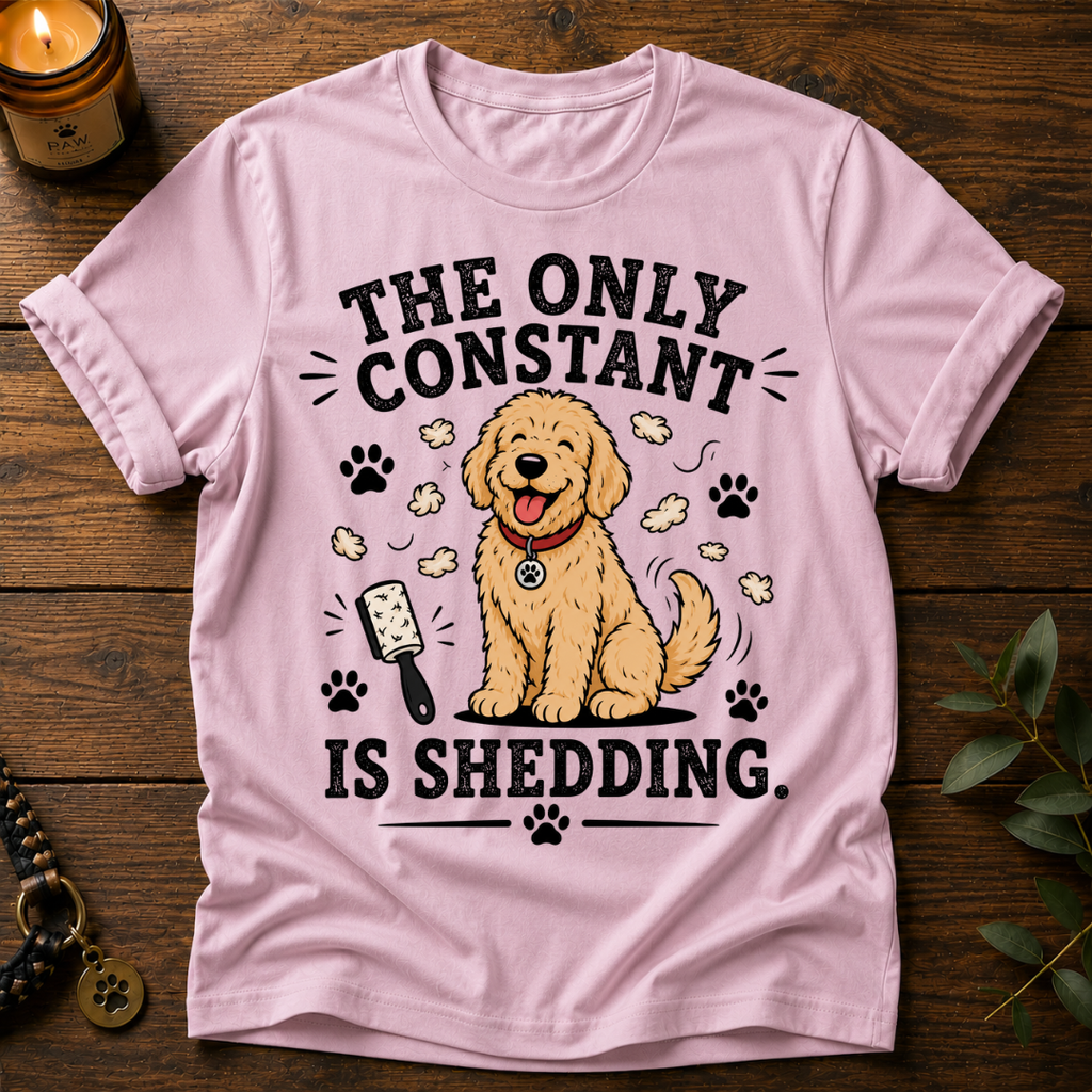 The Only Constant T-Shirt