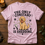 The Only Constant T-Shirt