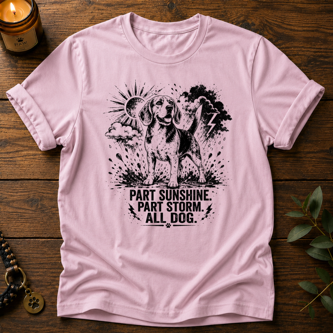 Part Sunshine Part Storm T-Shirt
