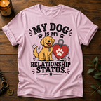 Relationship Status T-Shirt