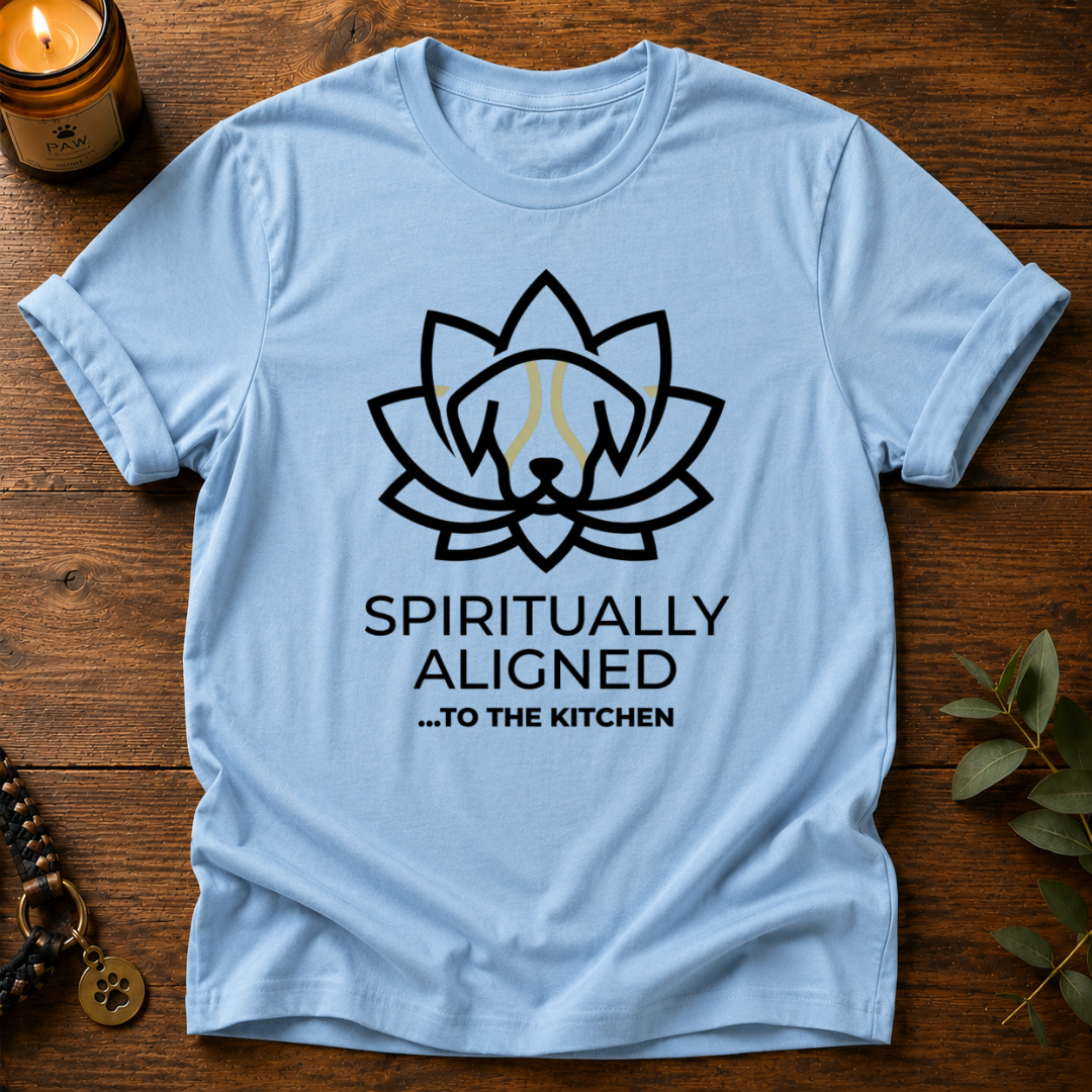 Spiritually Aligned T-Shirt