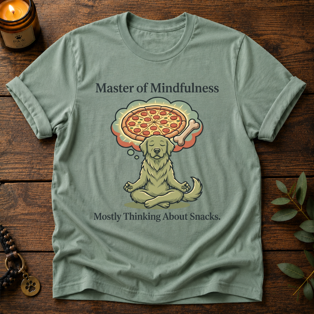 Master Of Mindfulness T-Shirt