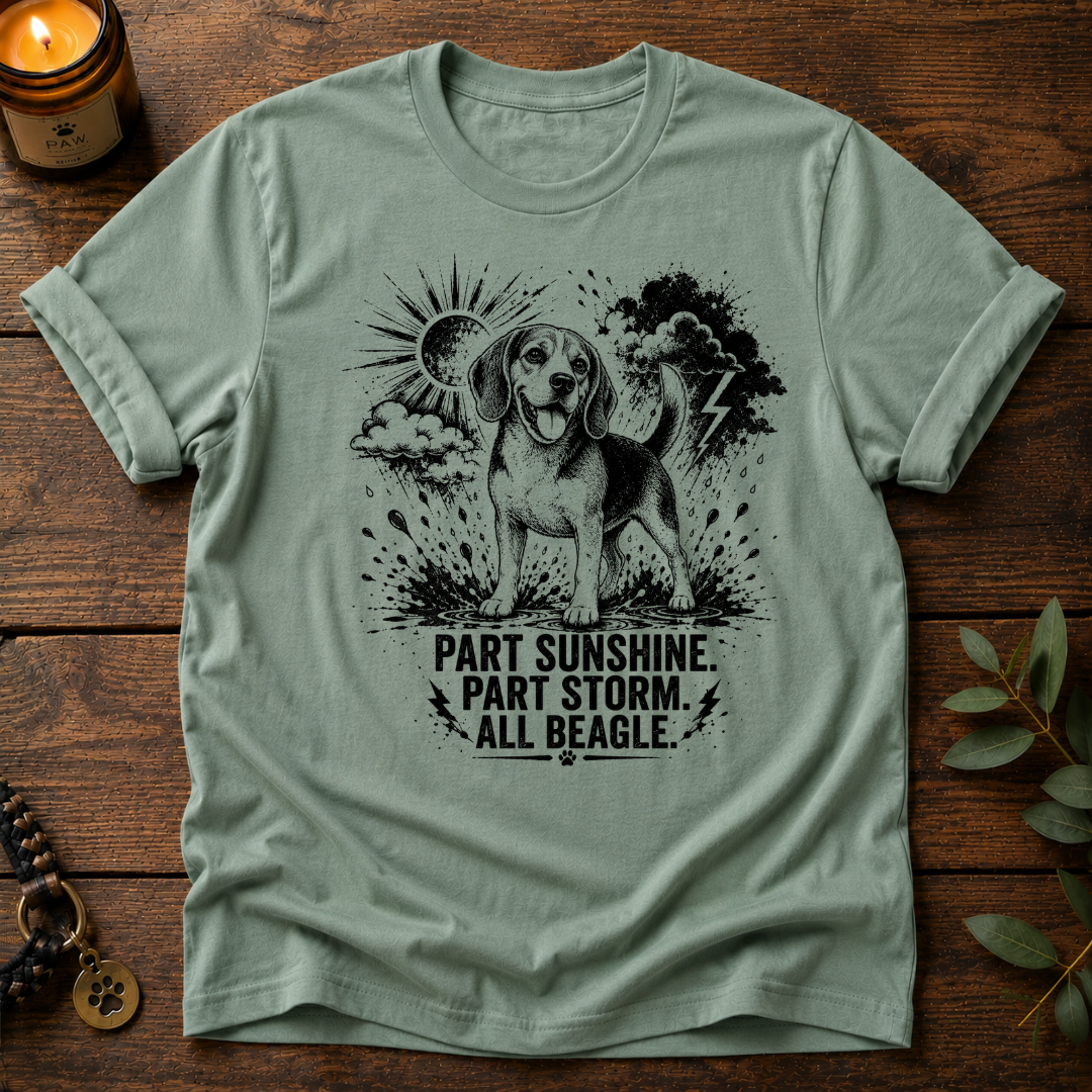 Part Sunshine Part Storm T-Shirt