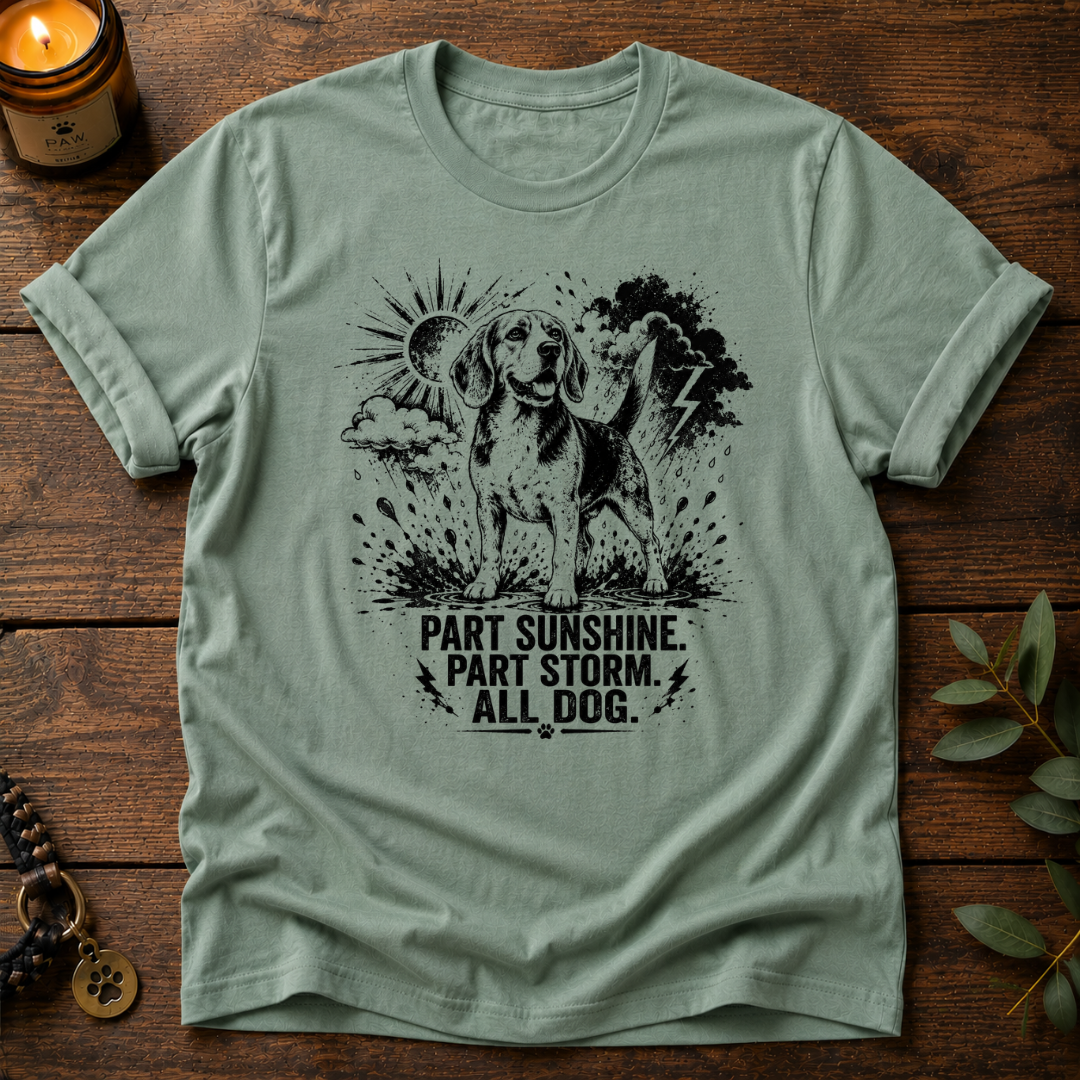 Part Sunshine Part Storm T-Shirt