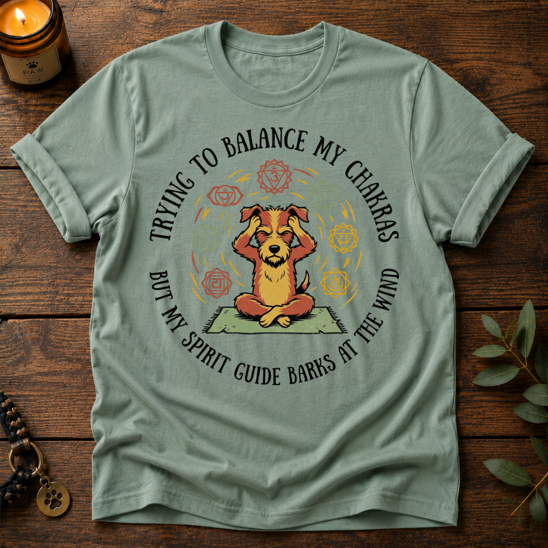 Balance My Chakras T-Shirt