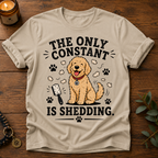 The Only Constant T-Shirt