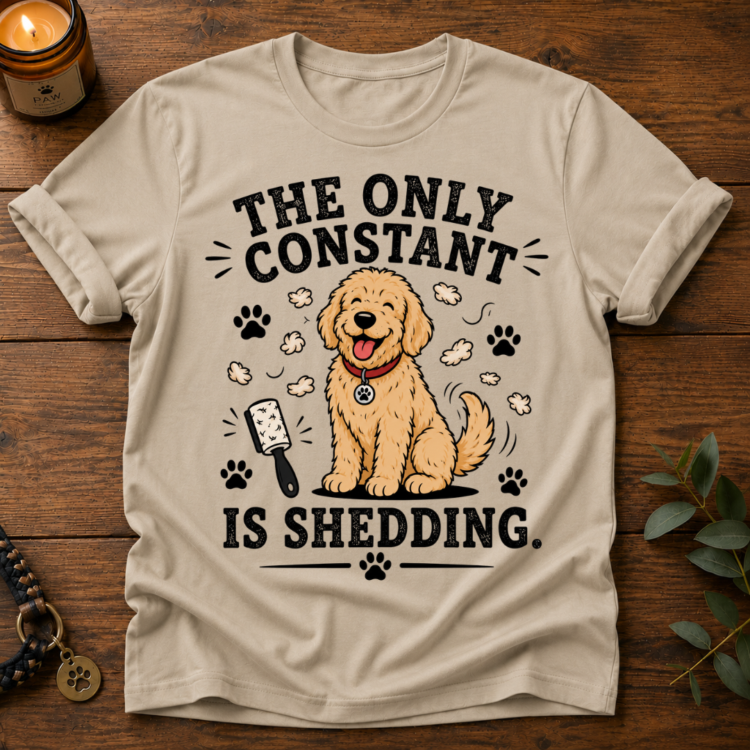 The Only Constant T-Shirt