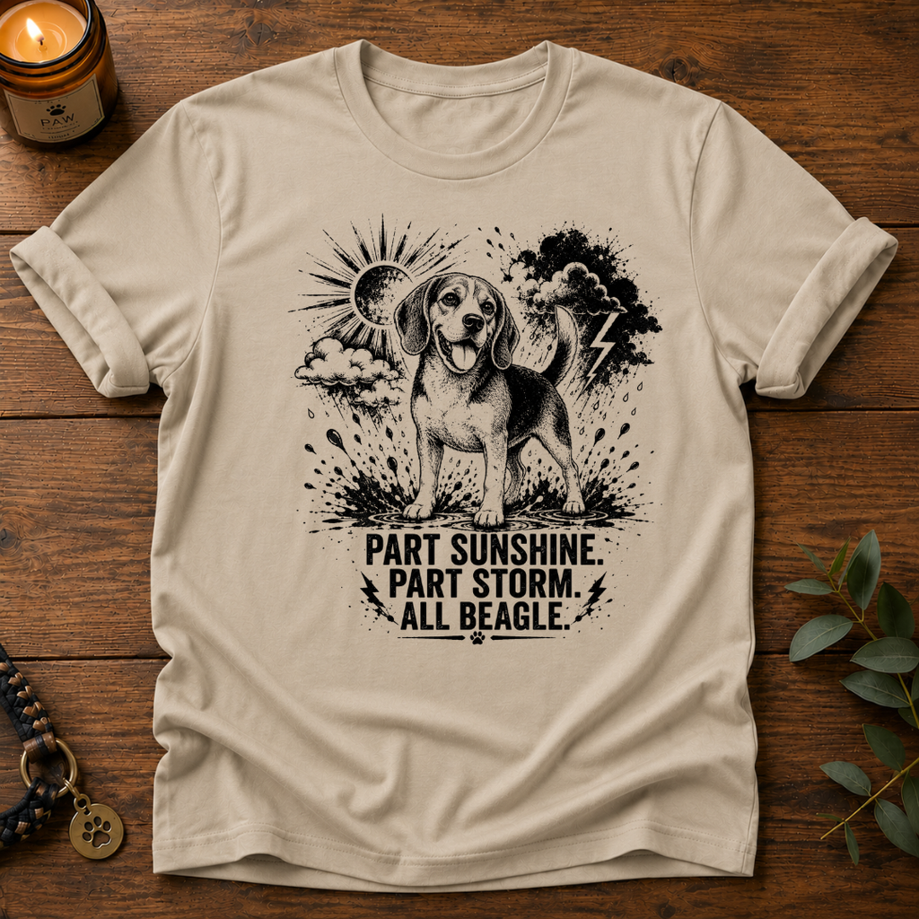 Part Sunshine Part Storm T-Shirt