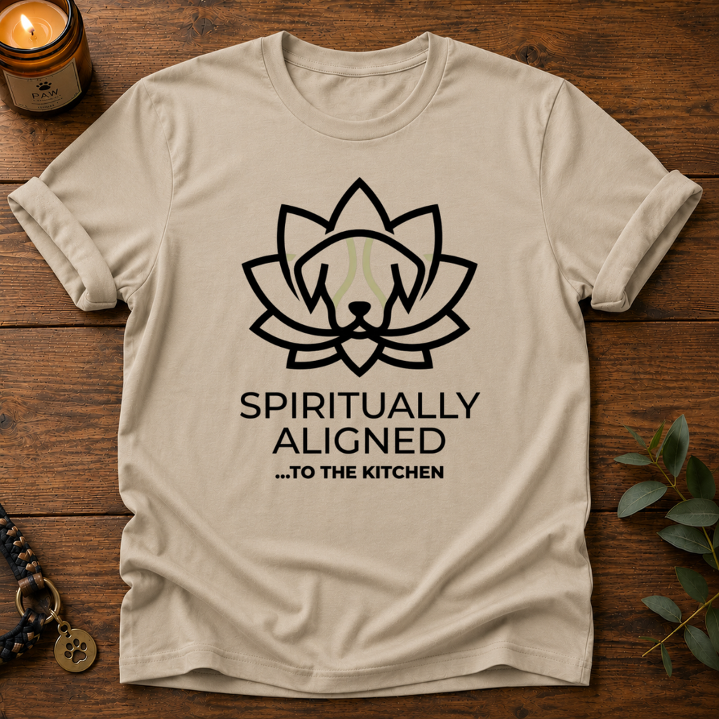 Spiritually Aligned T-Shirt