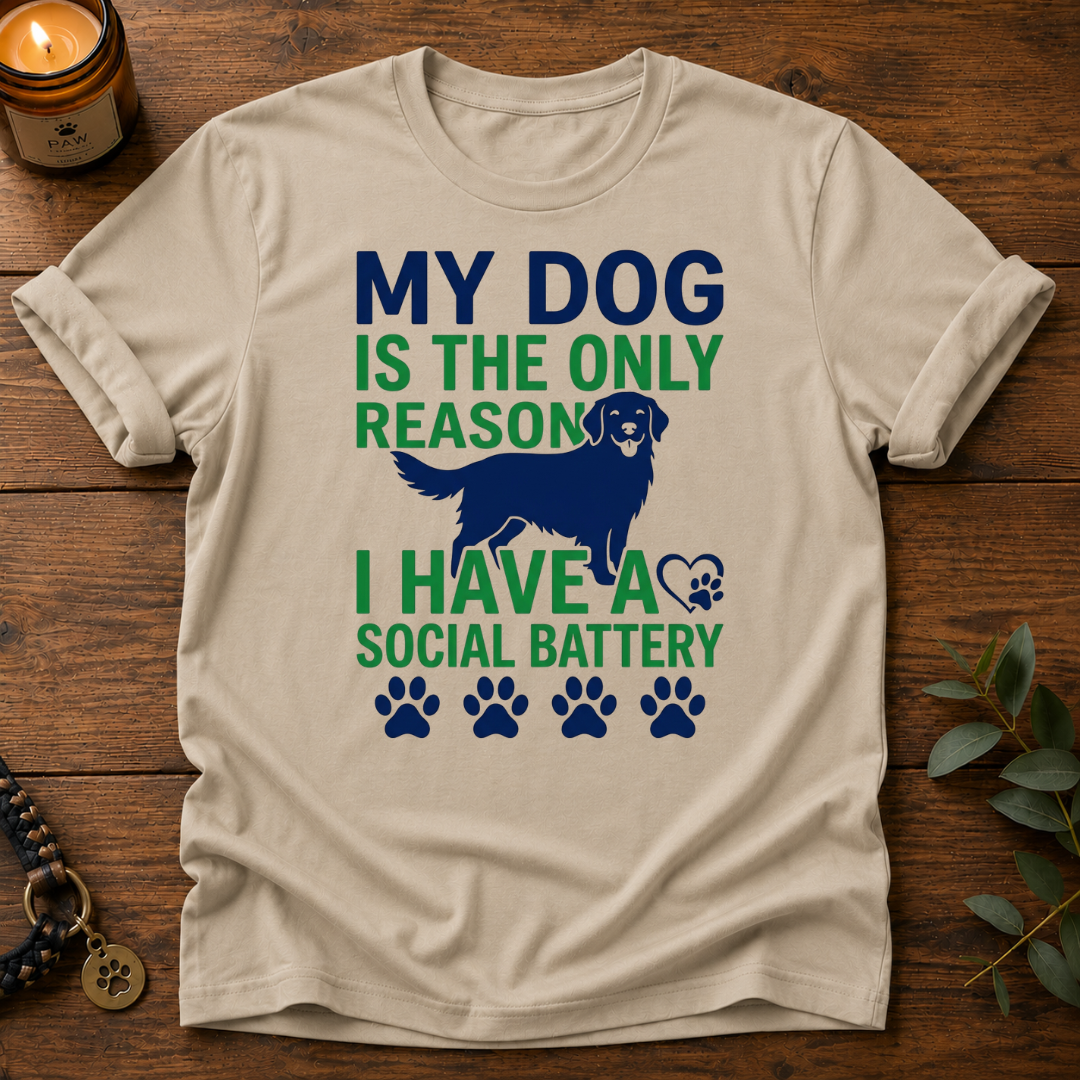 Social Battery T-Shirt